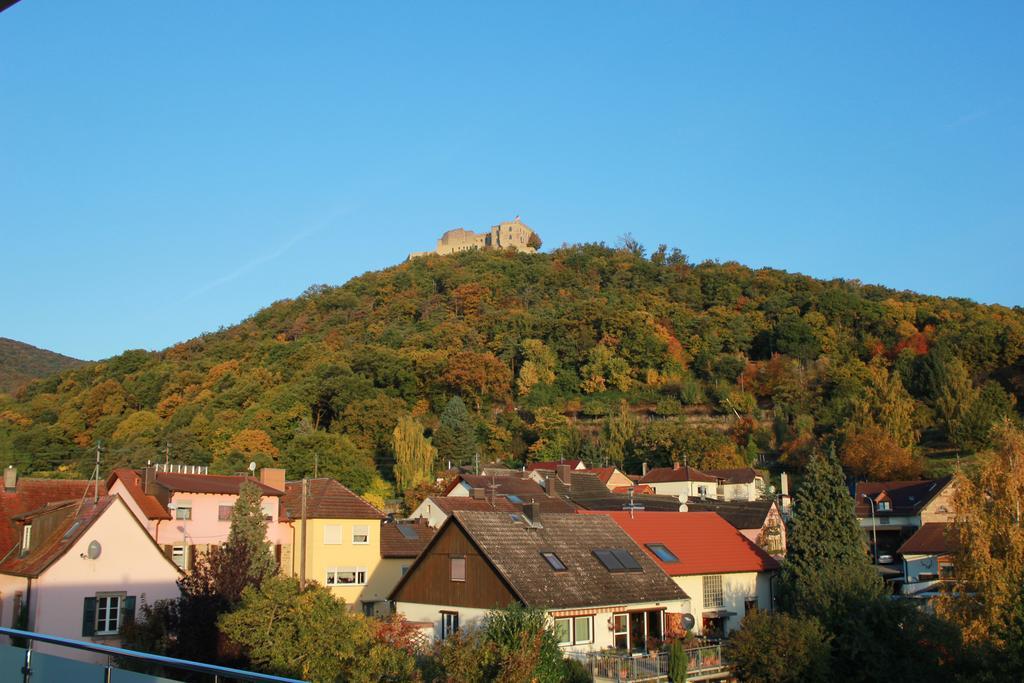 Gaestehaus Rebenhof Neustadt an der Weinstraße Exterior foto